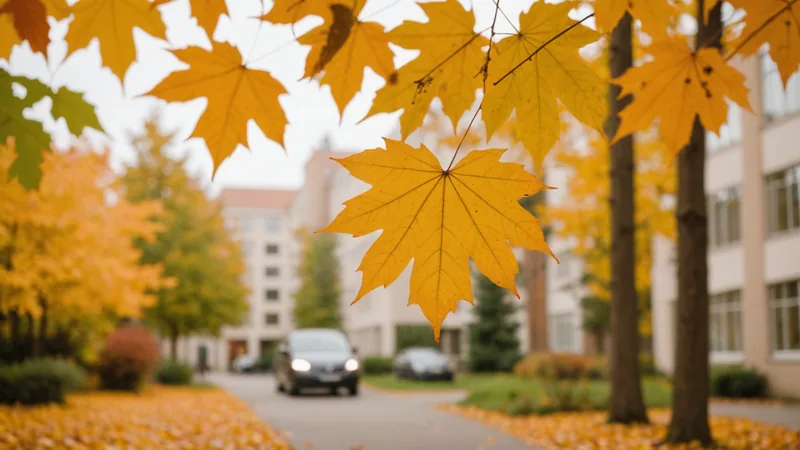 Autumn leaves representing seasonal COPD exacerbation patterns